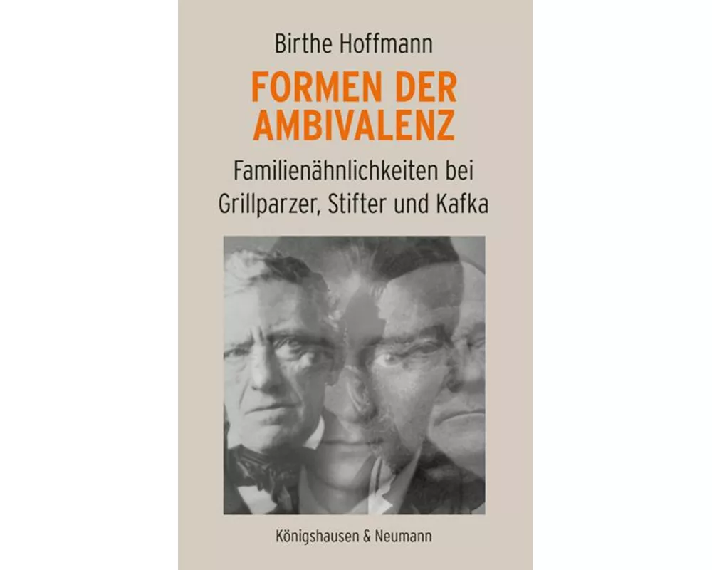 Formen der Ambivalenz