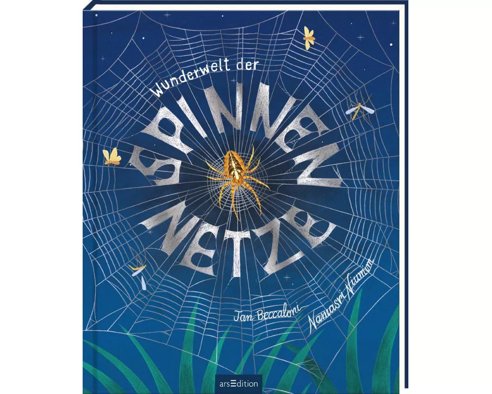 Wunderwelt der Spinnennetze