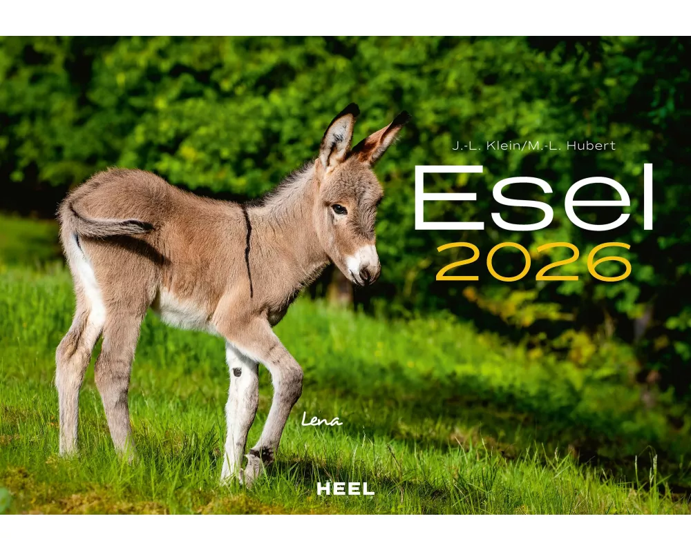Esel Kalender 2026