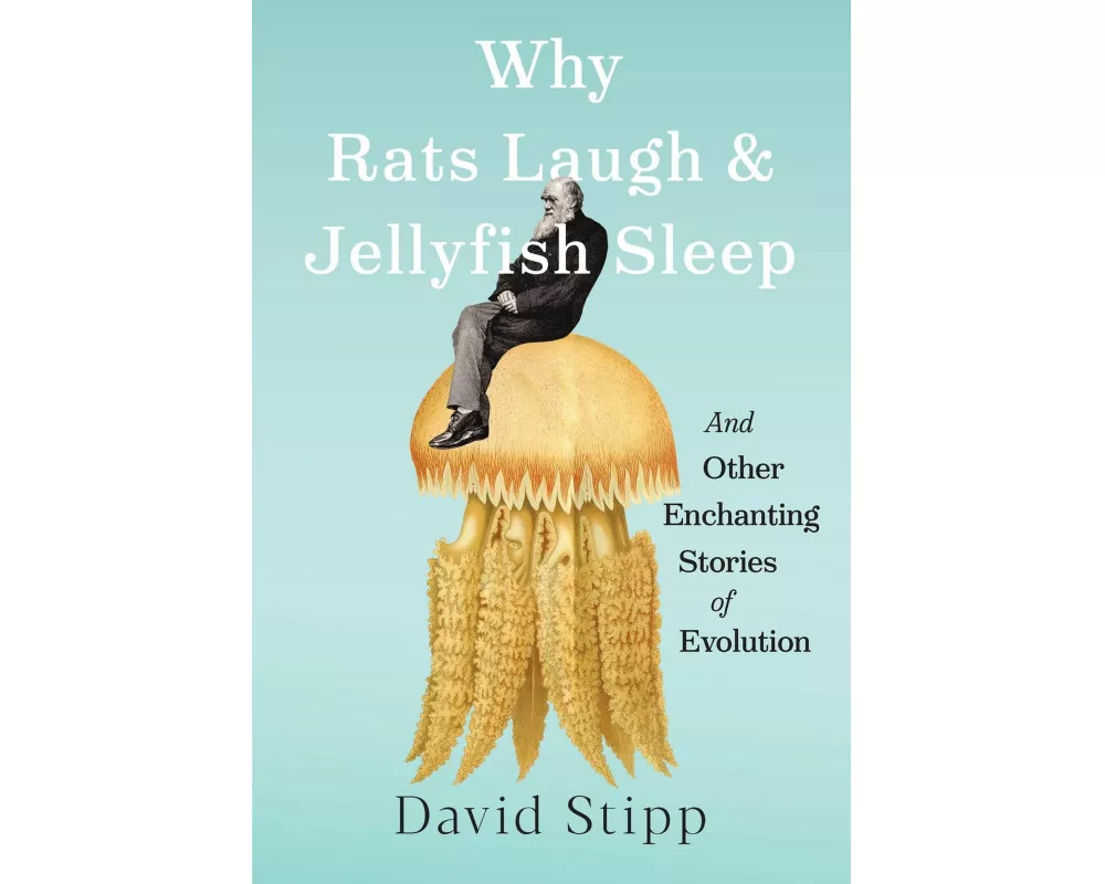 Why Rats Laugh and Jellyfish Sleep