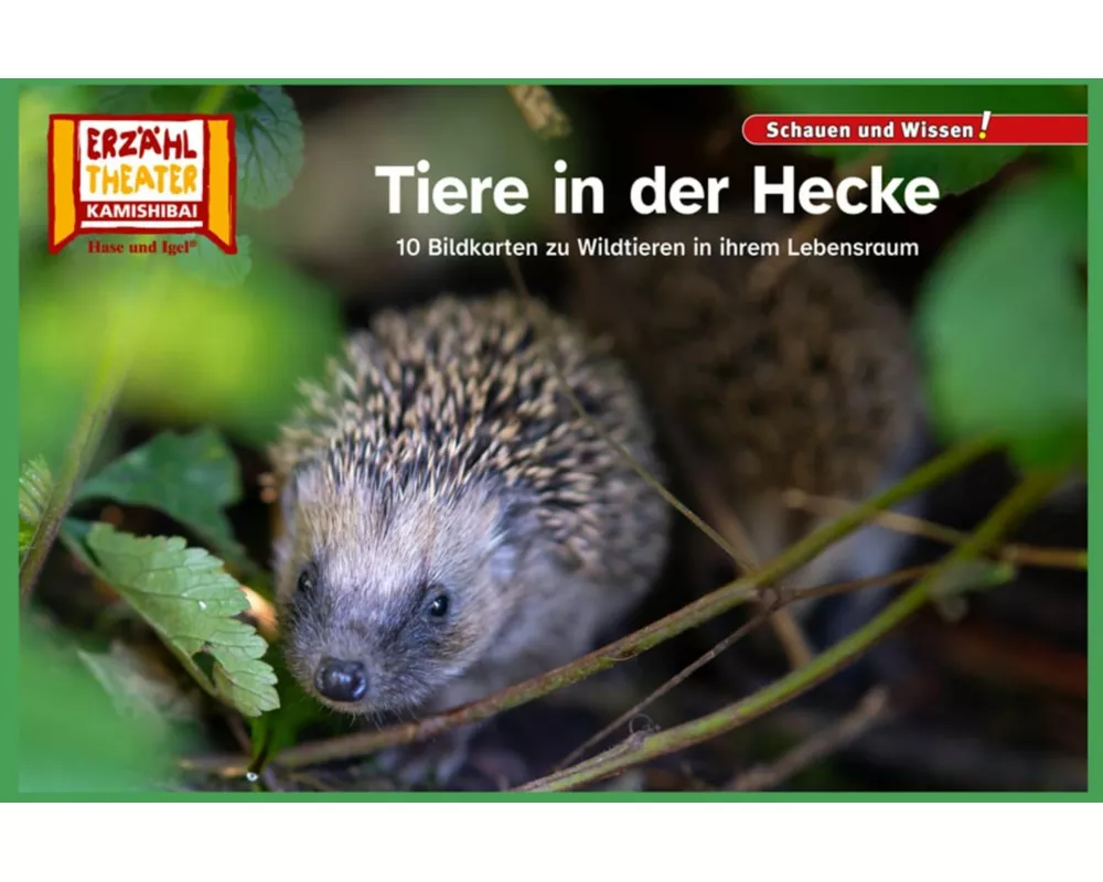 Tiere in der Hecke / Kamishibai Bildkarten