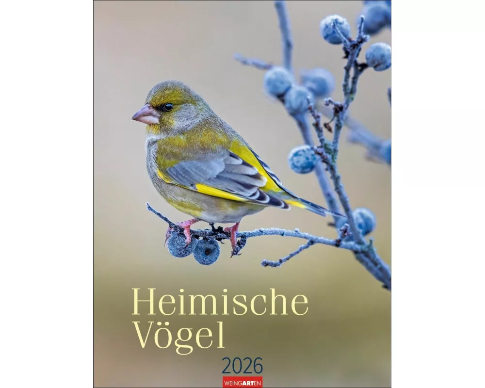 Heimische Vögel Kalender 2026