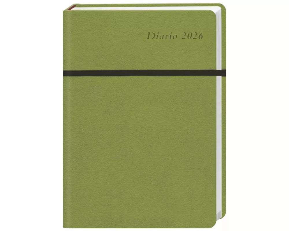 Diario Wochen-Kalenderbuch A6, grün 2026