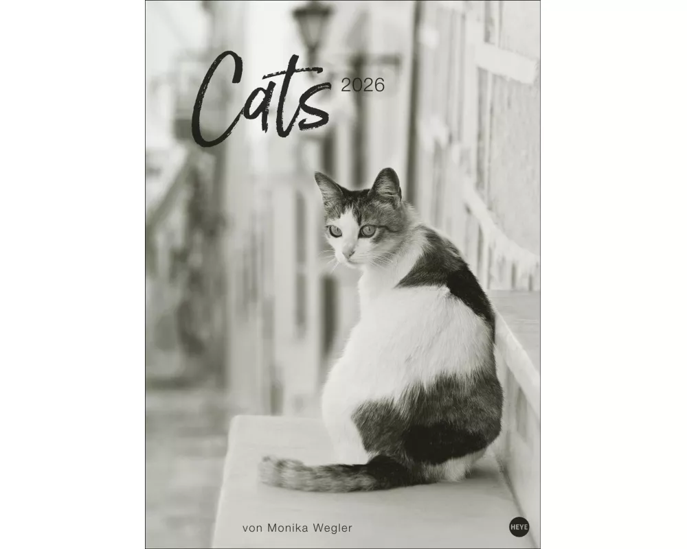 Cats Edition Kalender 2026
