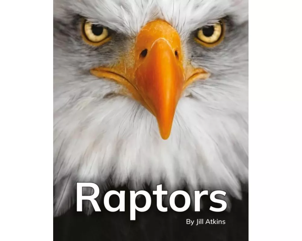 Raptors