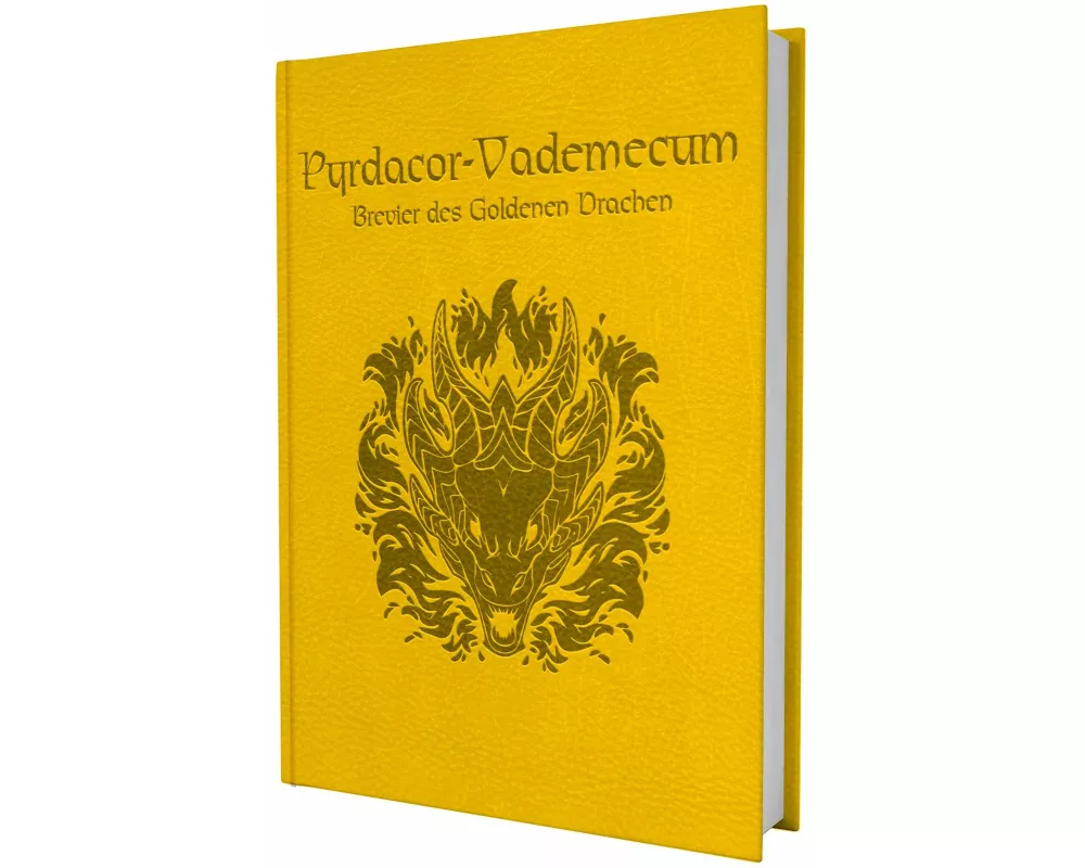 DSA - Pyrdacor-Vademecum