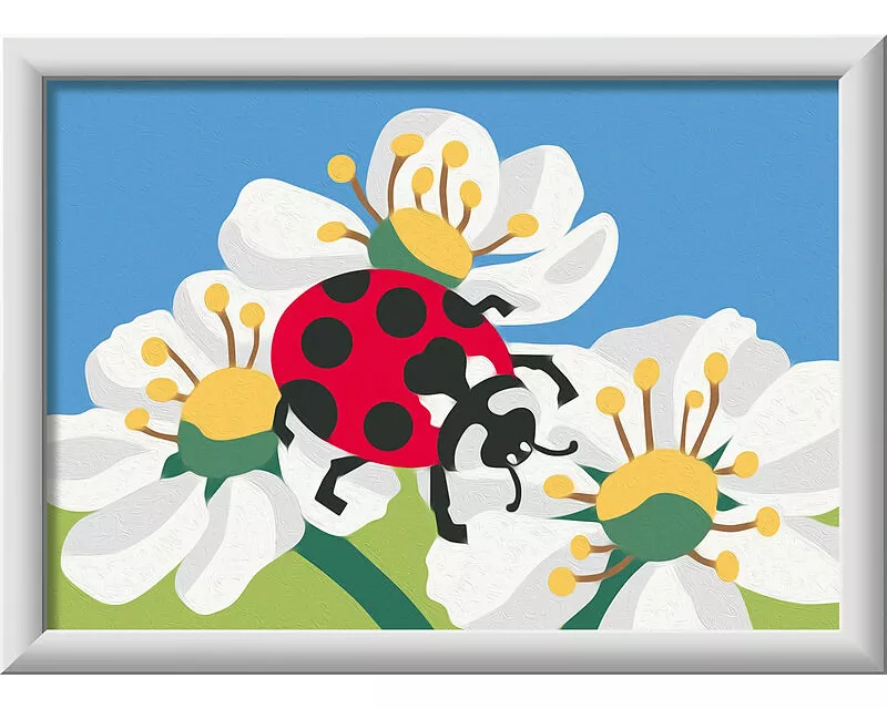 Ladybug