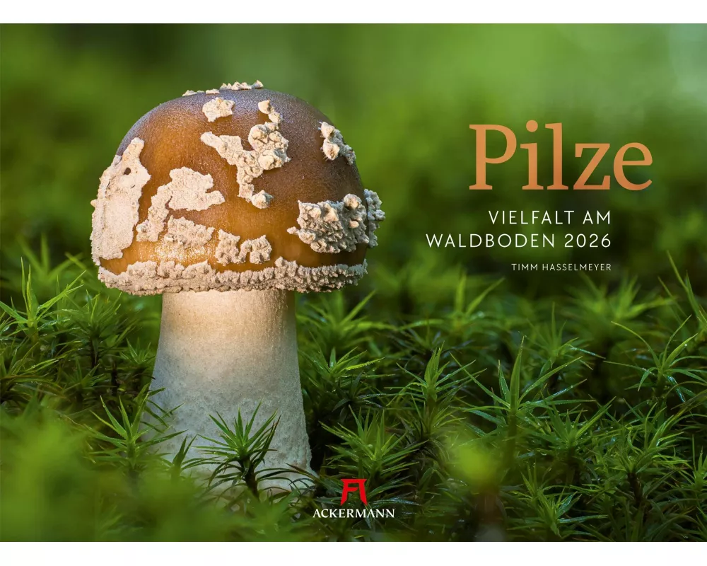 Pilze Kalender 2026 | Vielfalt am Waldboden