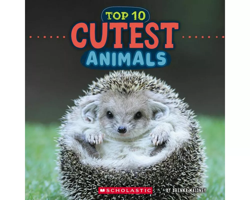 Cutest Animals (Wild World: Top 10)