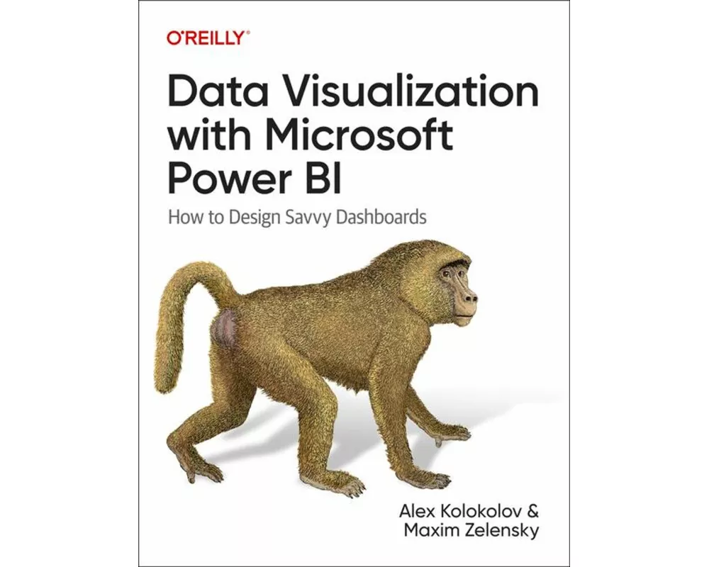 Data Visualization with Microsoft Power Bi