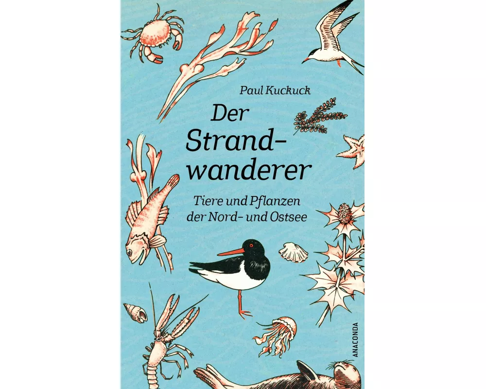 Der Strandwanderer. Tiere und Pflanzen der Nord- und Ostsee
