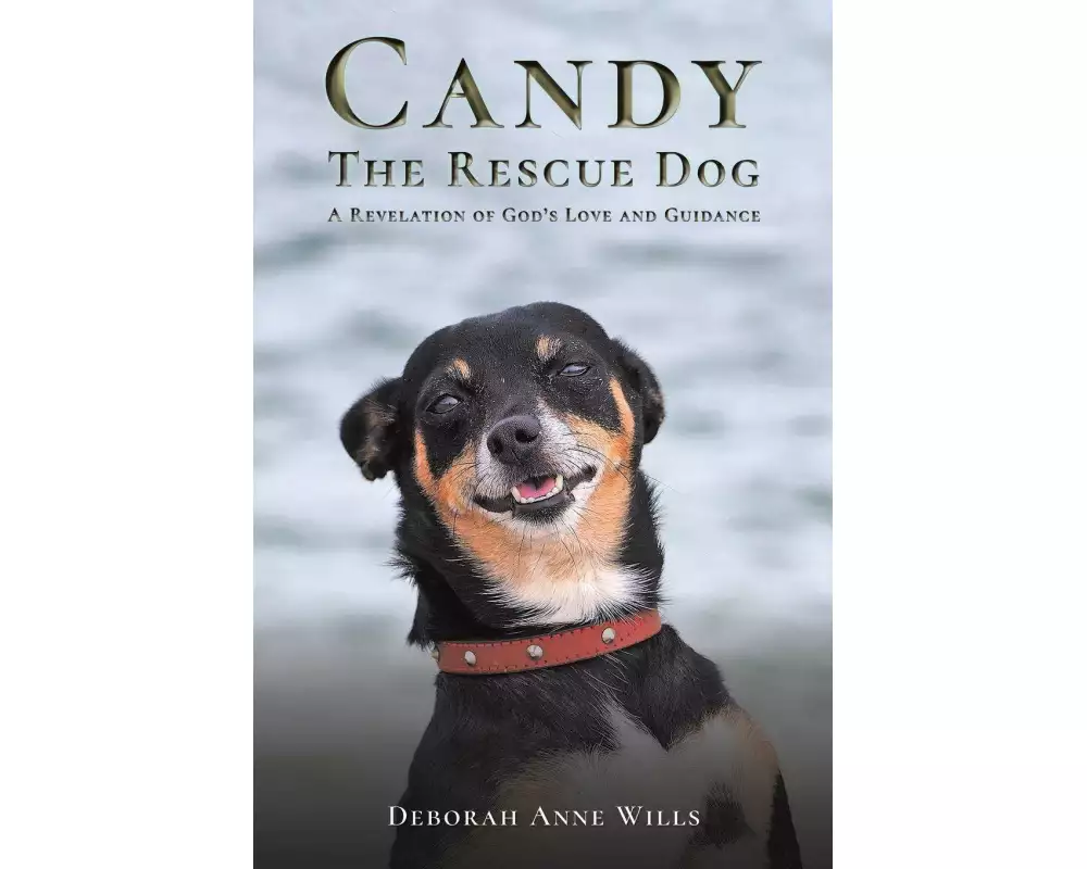 Candy the Rescue Dog