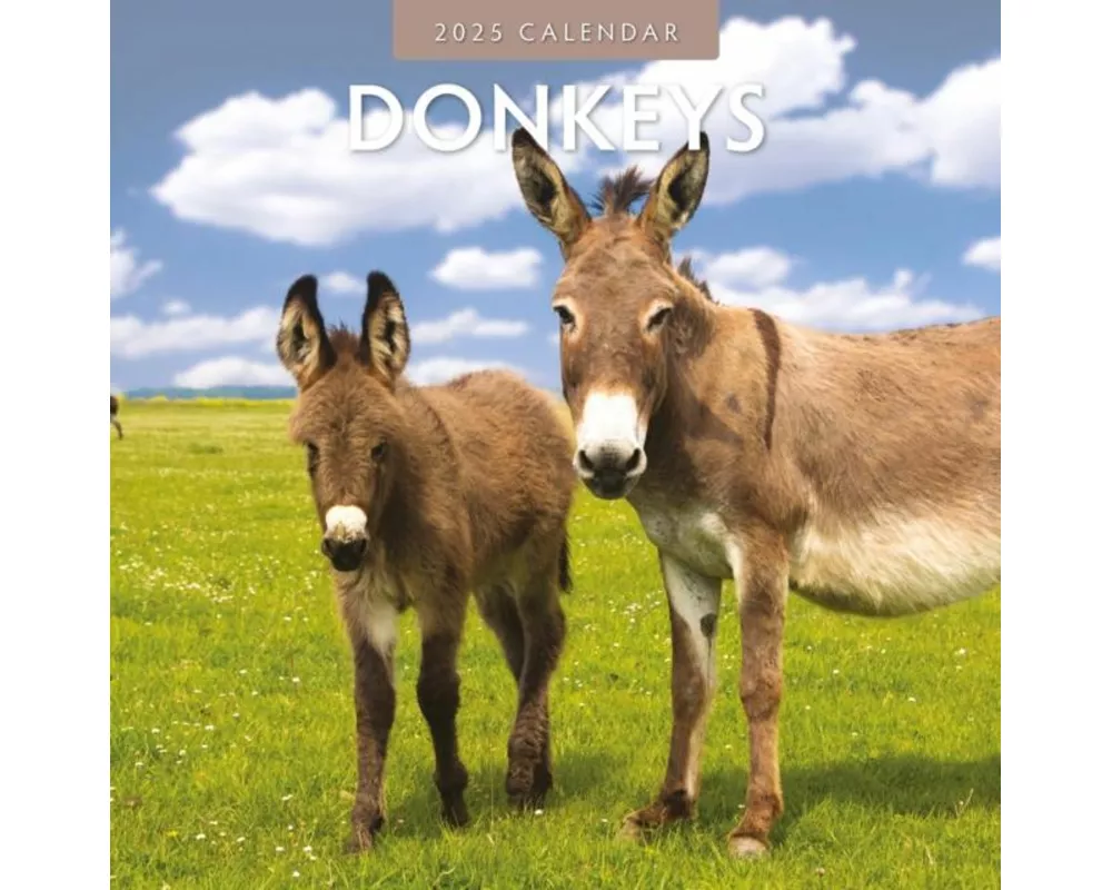 Donkeys 2025 Square Wall Calendar