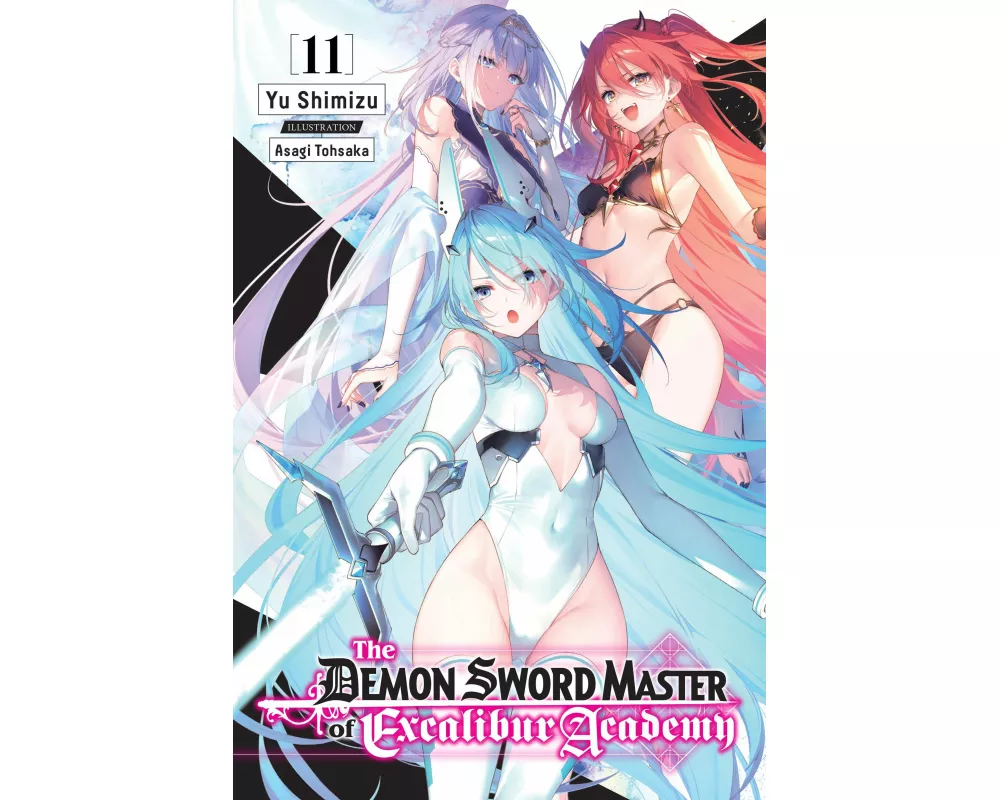 The Demon Sword Master of Excalibur Academy, Vol. 11 (light novel)