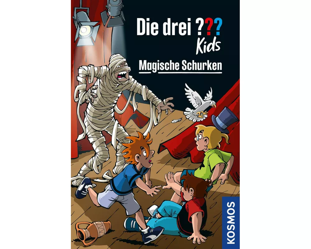 Die drei ??? Kids Magische Schurken