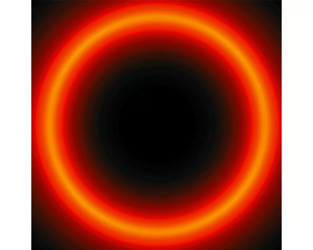 Live at Votivkirche Wien