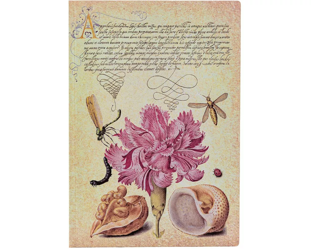 Softcover Notizbuch Rosa Nelke Midi Liniert