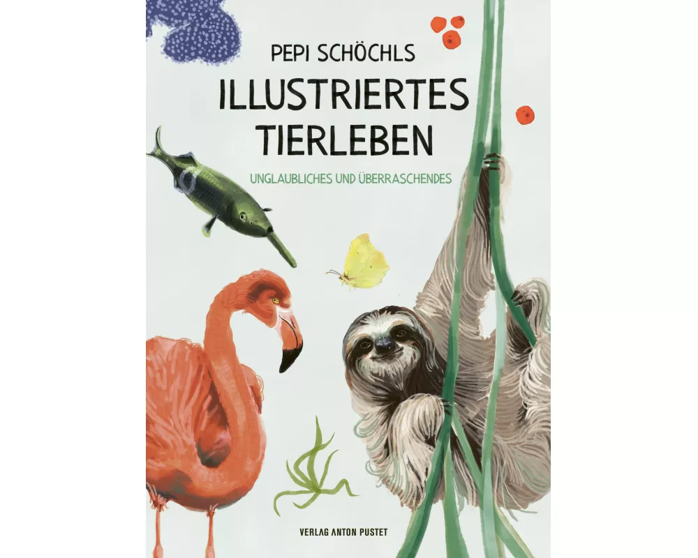 Pepi Schöchls illustriertes Tierleben