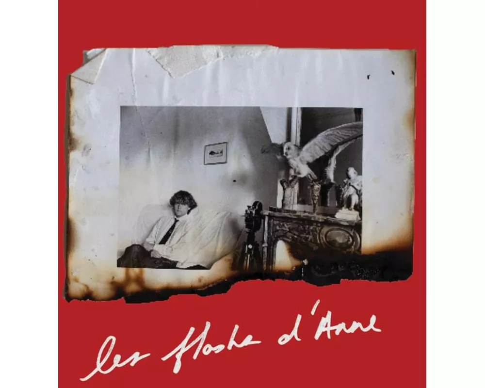 Anne Day: Les Flashes d'Anne