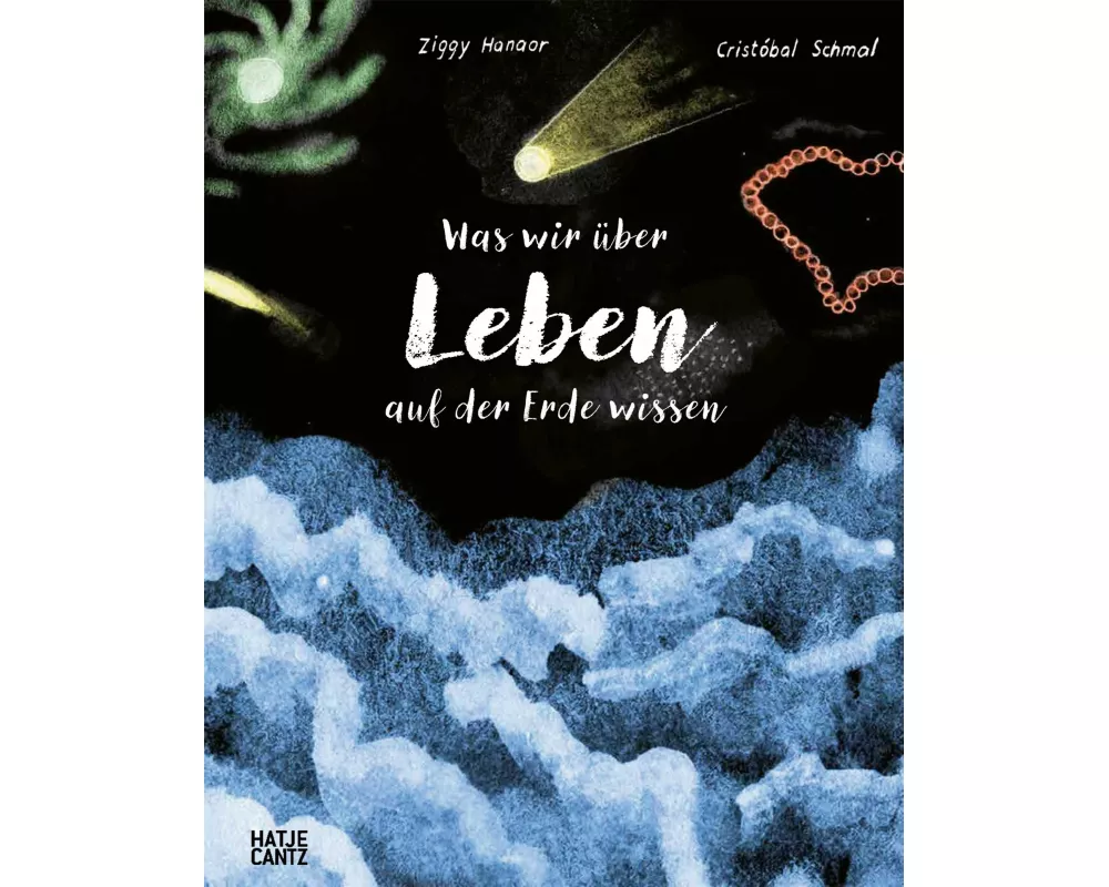 Was wir über Leben auf der Erde wissen