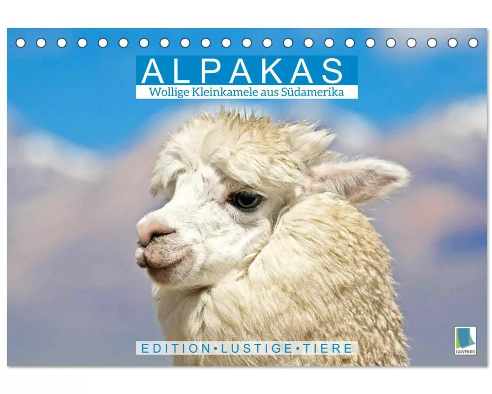 Alpakas: Wollige Kleinkamele aus Südamerika - Edition lustige Tiere (Tischkalender 2026 DIN A5 quer), CALVENDO Monatskalender