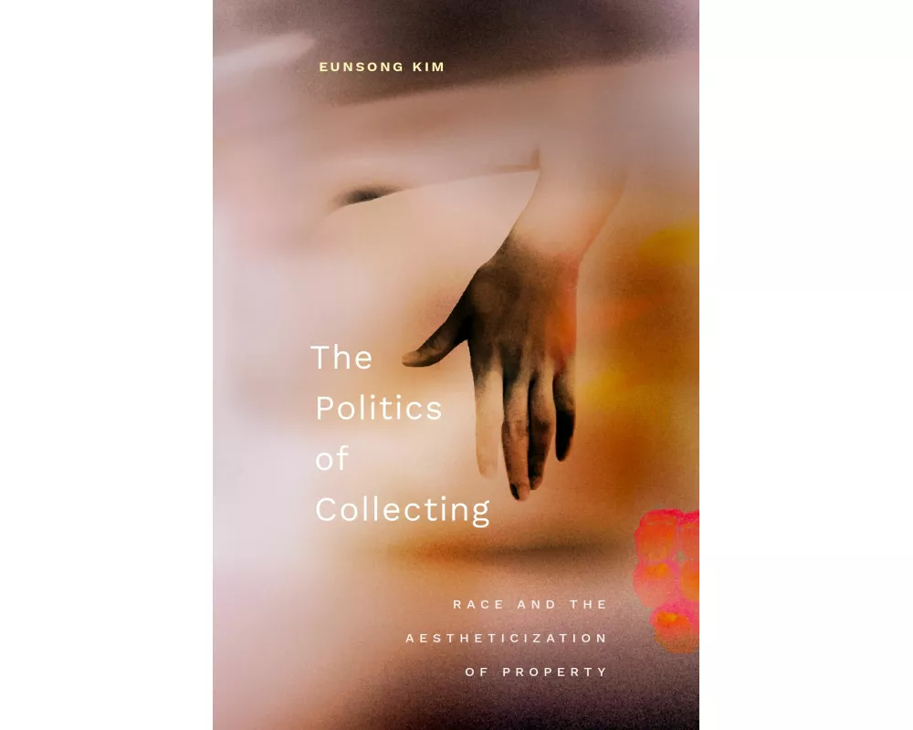 The Politics of Collecting