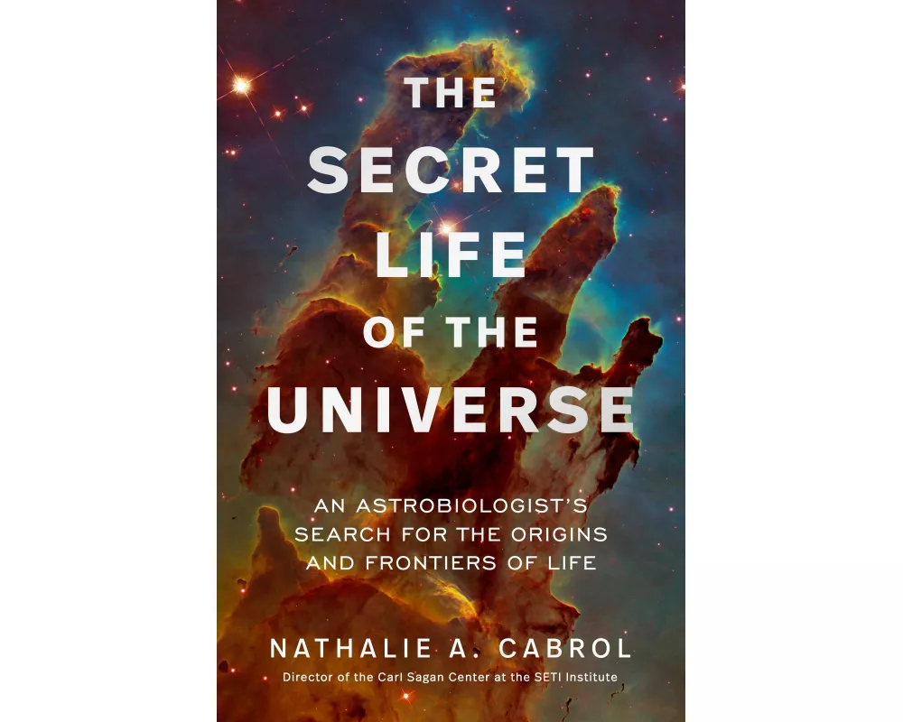 The Secret Life of the Universe