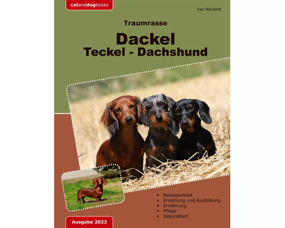 Traumrasse: Dackel Teckel Dachshund