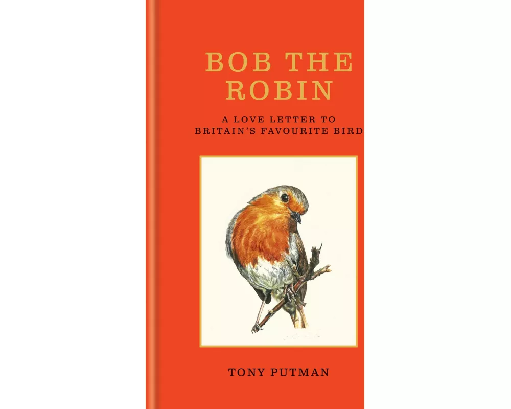 Bob the Robin