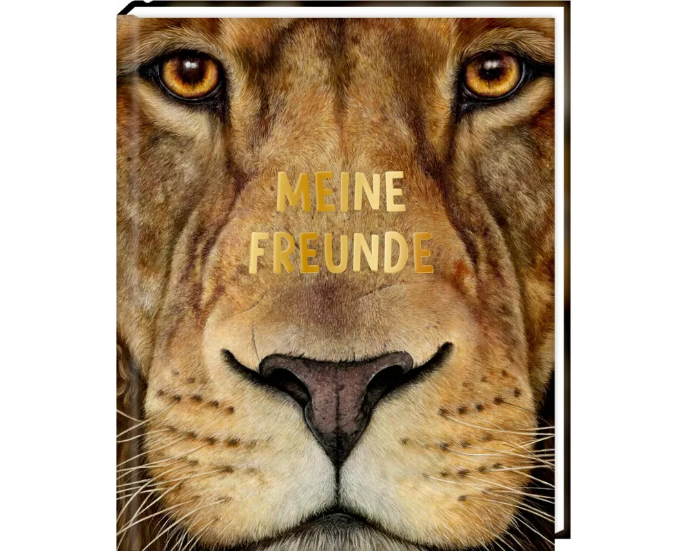 Freundebuch – Meine Freunde
