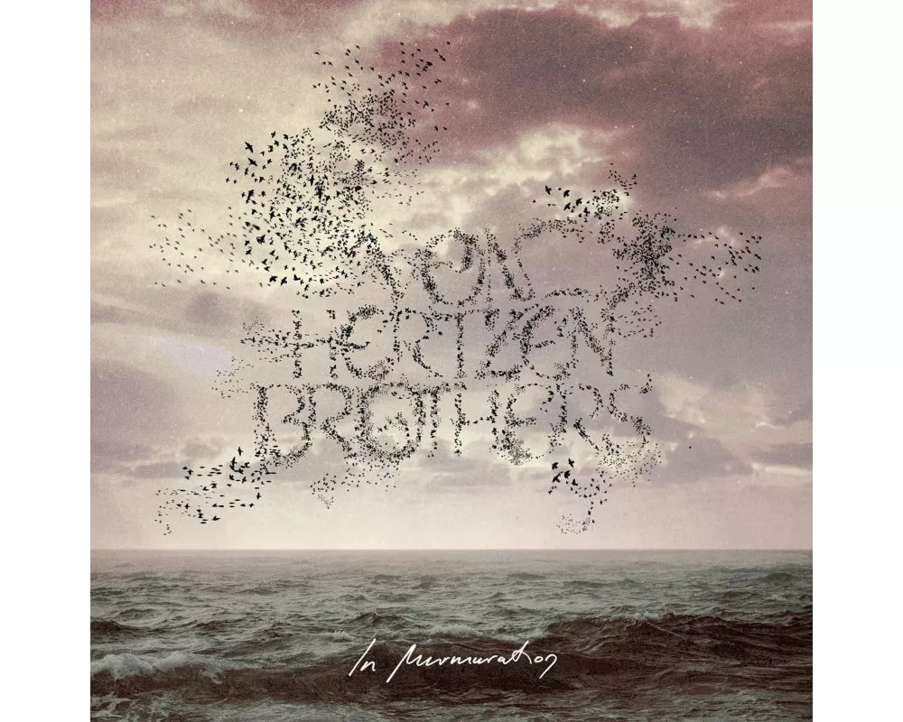 In Murmuration