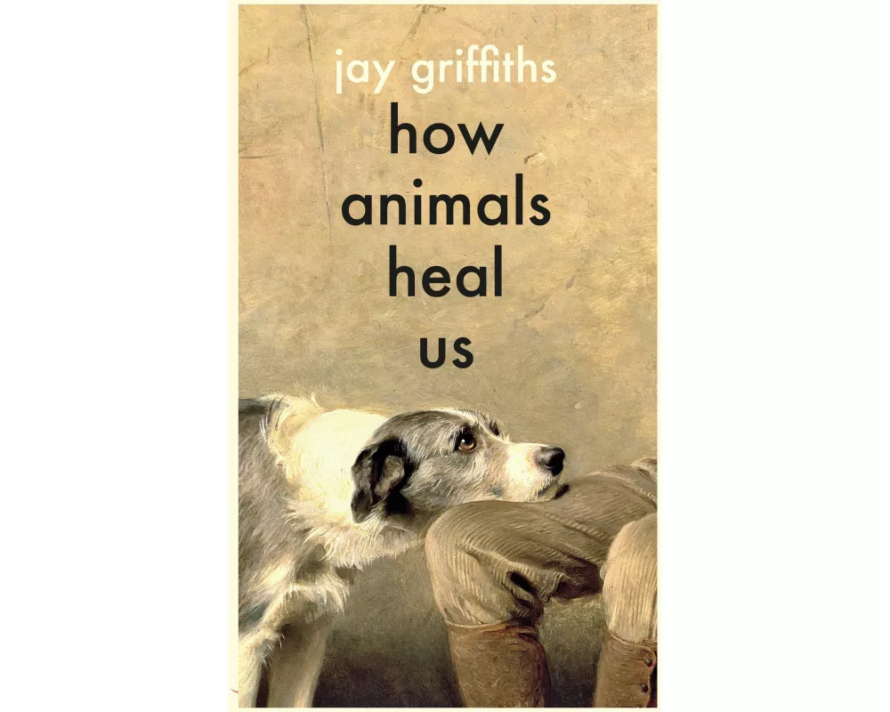 How Animals Heal Us