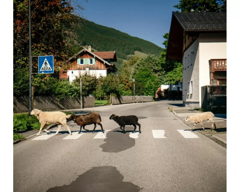 I mecht an Landla hean