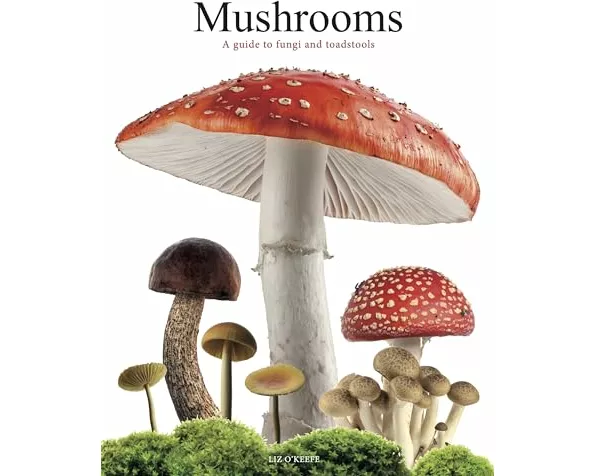Mushrooms