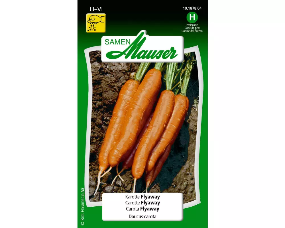 Samen Mauser Samen Karotte Flyaway