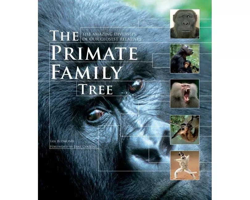 The Primate Family Tree