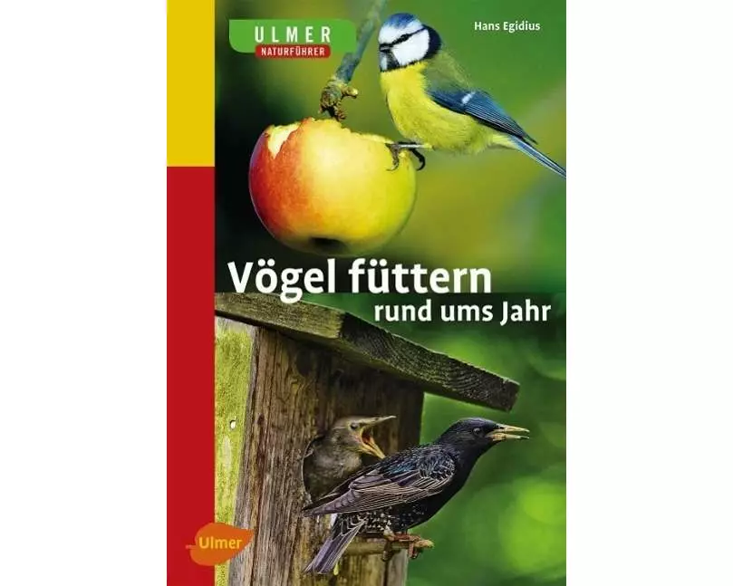 Vögel füttern rund ums Jahr