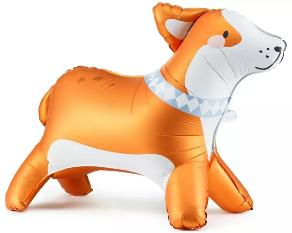 Partydeco Folienballon stehender Corgi Orange/Weiss, 88 x 70 cm