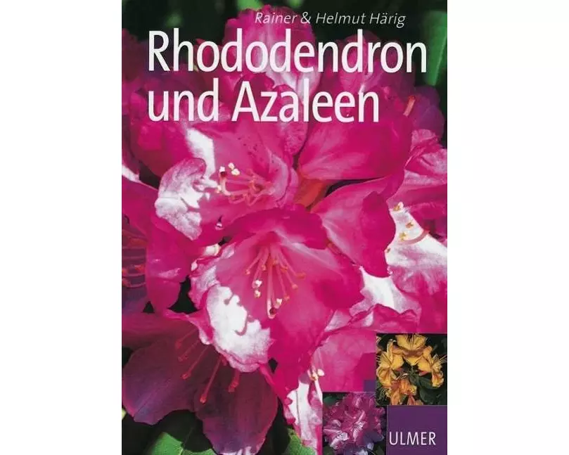 Rhododendron und Azaleen