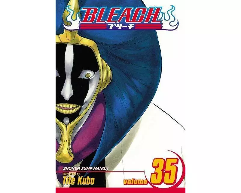 Bleach Volume 35