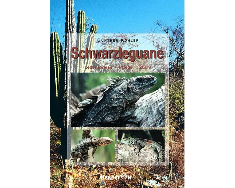 Schwarzleguane