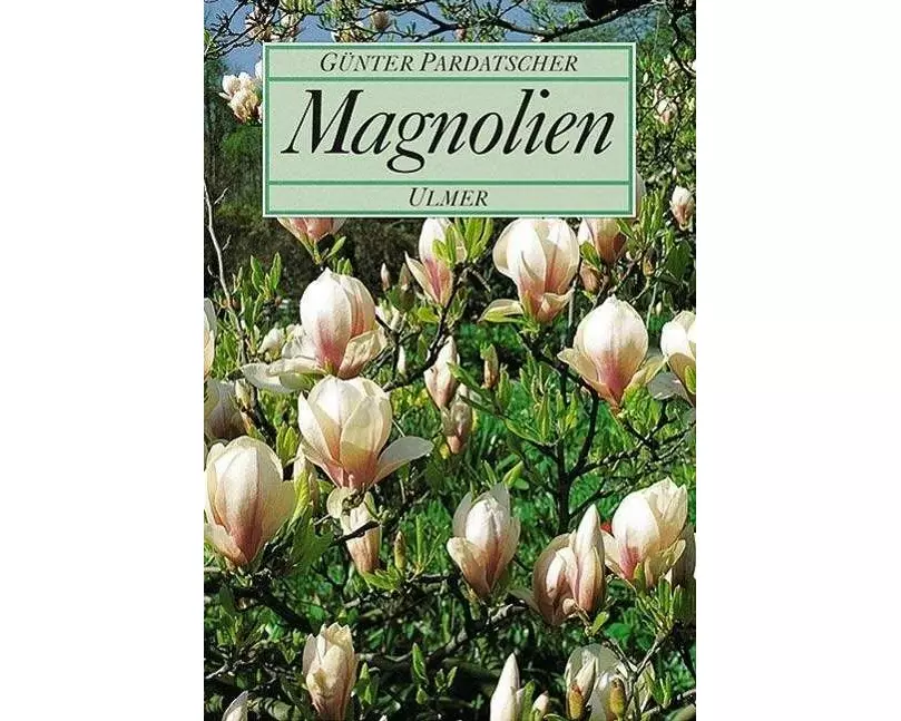 Magnolien