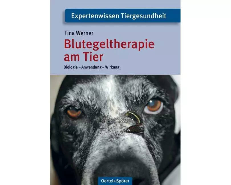 Blutegeltherapie am Tier