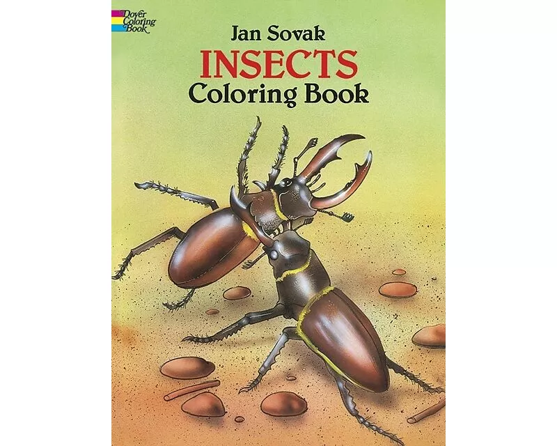Insects Coloring Book
