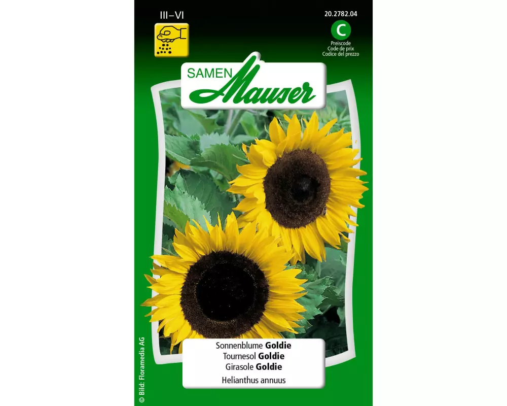 Samen Mauser Saatgut Sonnenblume Goldie