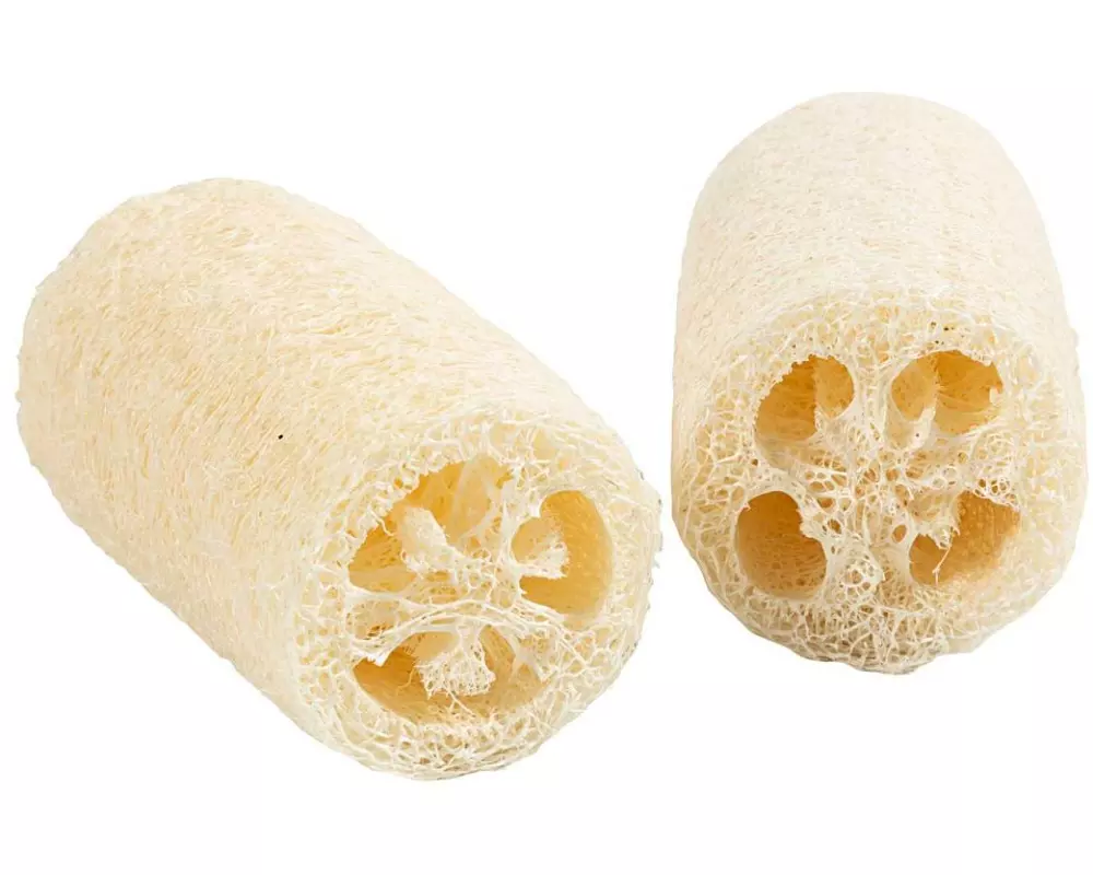 Creativ Company Natürlicher Luffa-Schwamm 10 x 5.5-8 cm, Hellnatur, 2 Stück