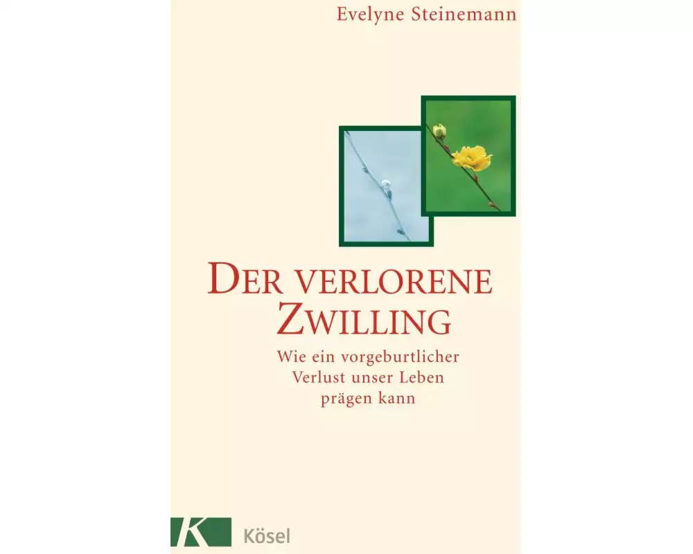 Der verlorene Zwilling