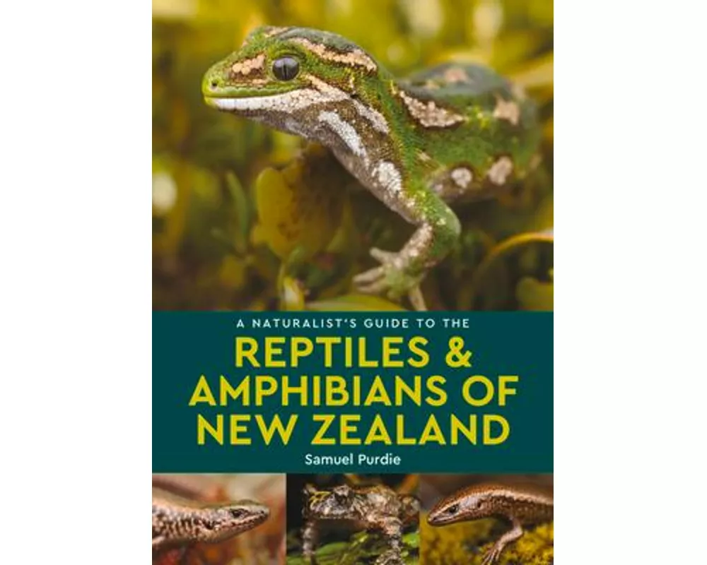 A Naturalist's Guide to the Reptiles & Amphibians Of New Zealand