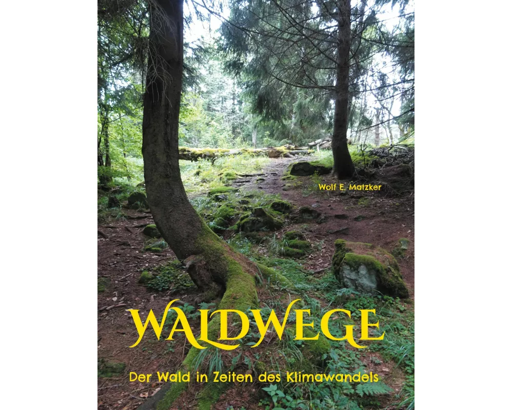 Waldwege