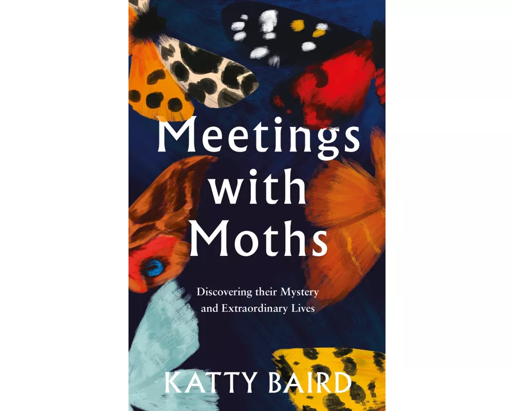 Meetings with Moths